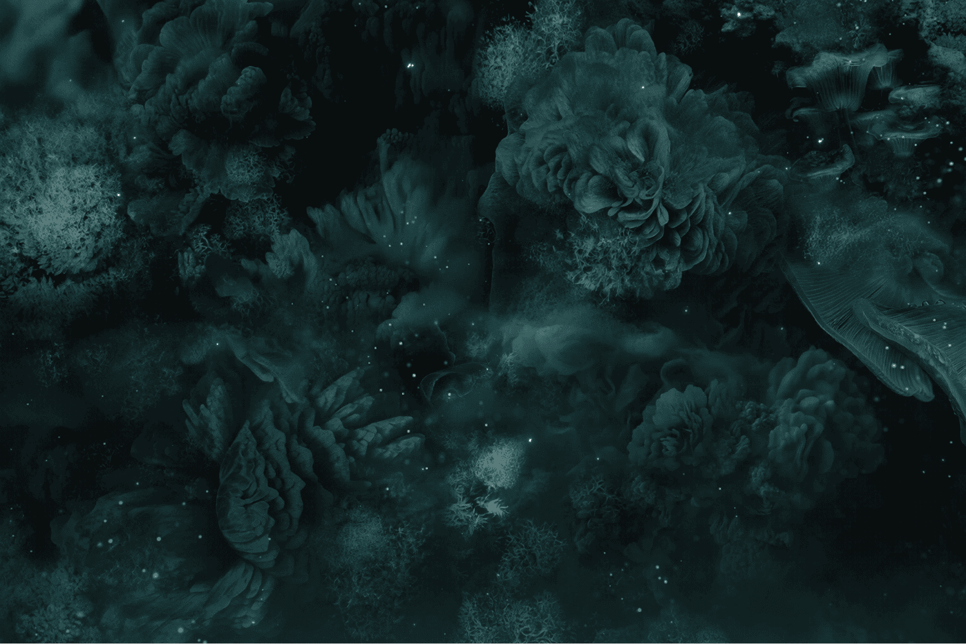 Event Banner